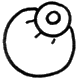 oko sitelen sitelen